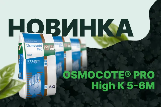 Новинка в Лама Про!
